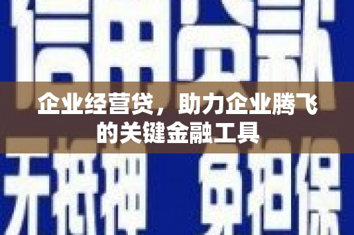 康保企业经营贷，助力企业腾飞的关键金融工具