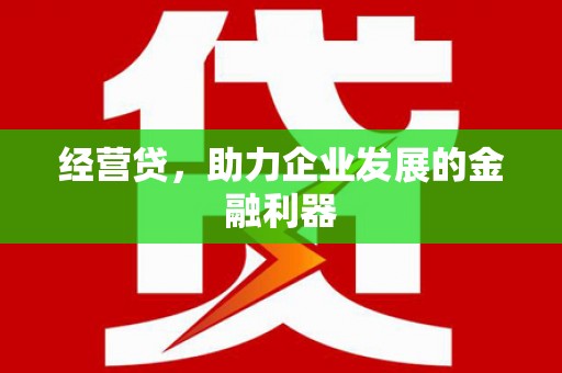 康保经营贷，助力企业发展的金融利器