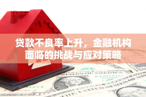 康保贷款不良率上升，金融机构面临的挑战与应对策略
