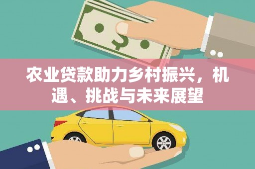 康保农业贷款助力乡村振兴，机遇、挑战与未来展望