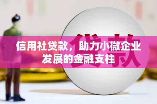 康保信用社贷款，助力小微企业发展的金融支柱