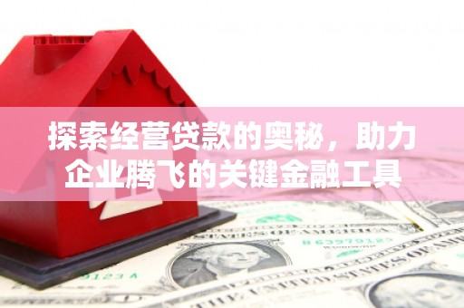 康保探索经营贷款的奥秘，助力企业腾飞的关键金融工具