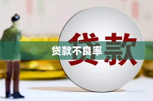 康保贷款不良率