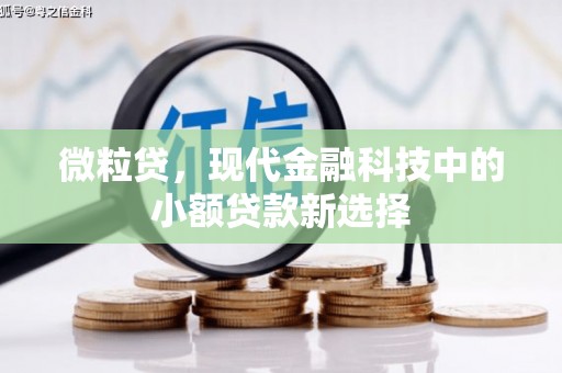 康保微粒贷，现代金融科技中的小额贷款新选择