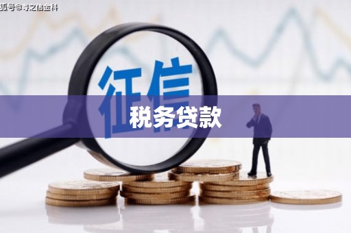 康保税务贷款