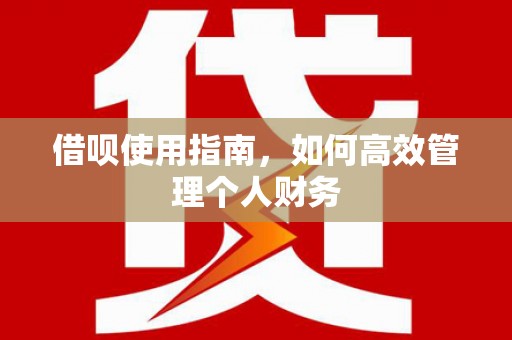 康保借呗使用指南，如何高效管理个人财务