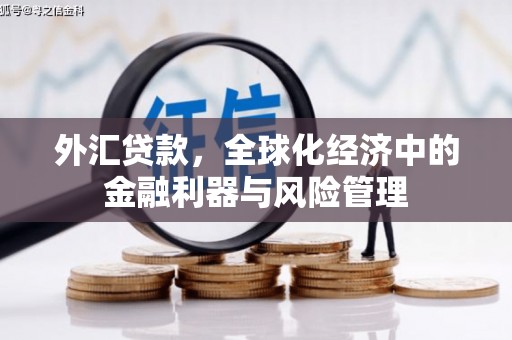 康保外汇贷款，全球化经济中的金融利器与风险管理