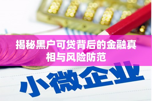 康保揭秘黑户可贷背后的金融真相与风险防范