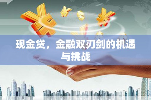 康保现金贷，金融双刃剑的机遇与挑战