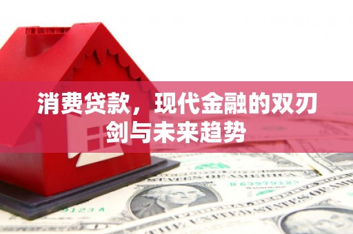 康保消费贷款，现代金融的双刃剑与未来趋势