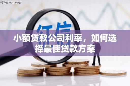 康保小额贷款公司利率，如何选择最佳贷款方案