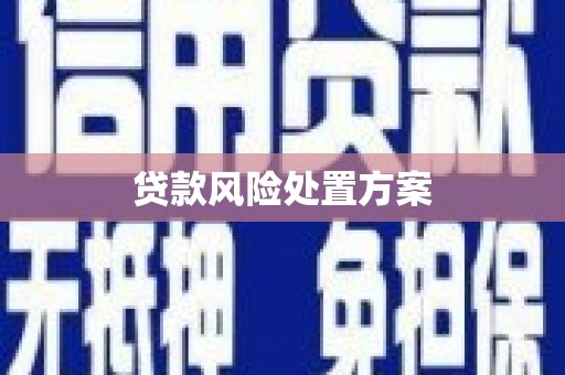 康保贷款风险处置方案