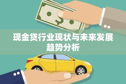 康保现金贷行业现状与未来发展趋势分析