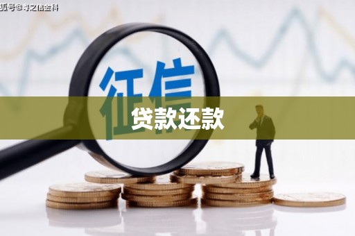 康保贷款还款