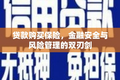 康保贷款购买保险，金融安全与风险管理的双刃剑