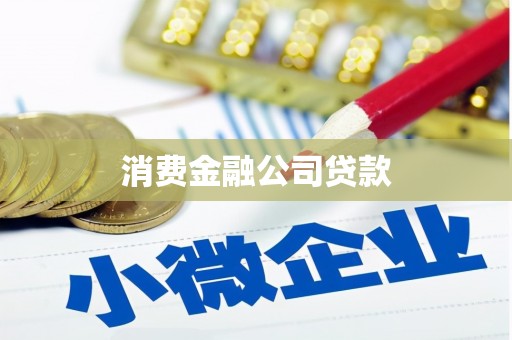 康保消费金融公司贷款