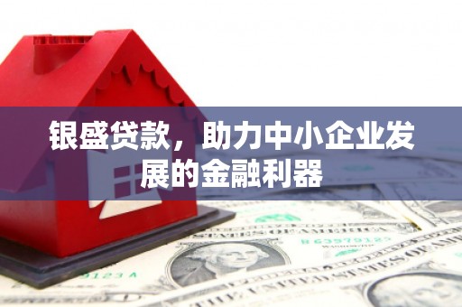 康保银盛贷款，助力中小企业发展的金融利器