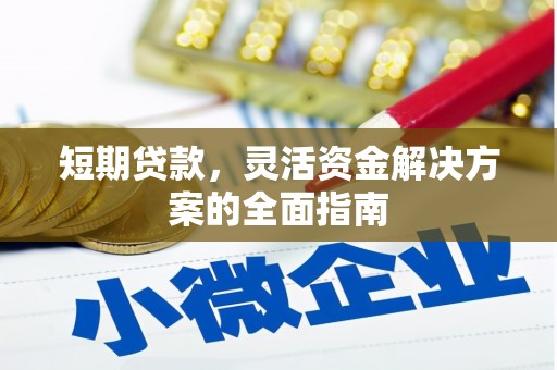 康保短期贷款，灵活资金解决方案的全面指南