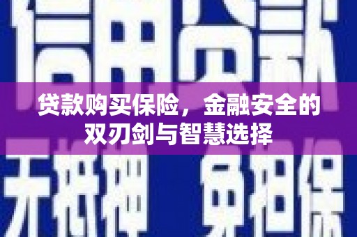 康保贷款购买保险，金融安全的双刃剑与智慧选择