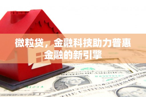 康保微粒贷，金融科技助力普惠金融的新引擎
