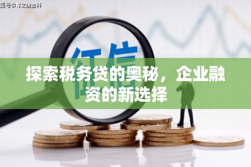 康保探索税务贷的奥秘，企业融资的新选择