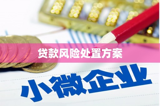 康保贷款风险处置方案