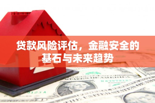 康保贷款风险评估，金融安全的基石与未来趋势
