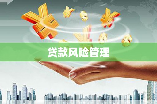 康保贷款风险管理