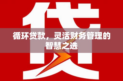 康保循环贷款，灵活财务管理的智慧之选