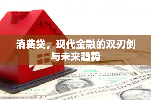 康保消费贷，现代金融的双刃剑与未来趋势