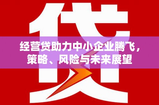 康保经营贷助力中小企业腾飞，策略、风险与未来展望