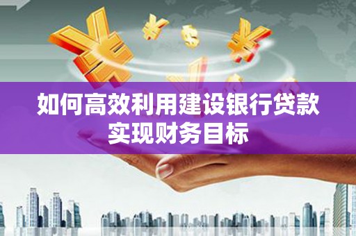 康保如何高效利用建设银行贷款实现财务目标