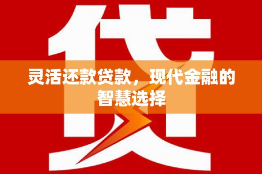 康保灵活还款贷款，现代金融的智慧选择