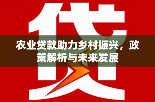康保农业贷款助力乡村振兴，政策解析与未来发展