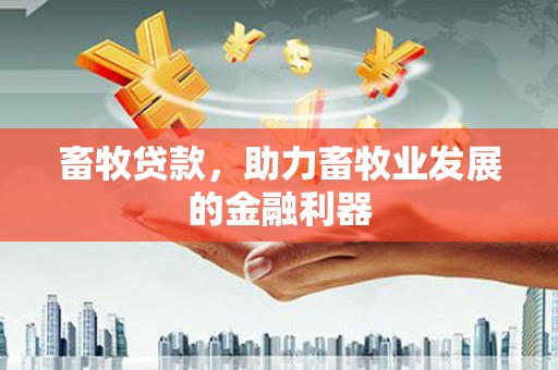 康保畜牧贷款，助力畜牧业发展的金融利器