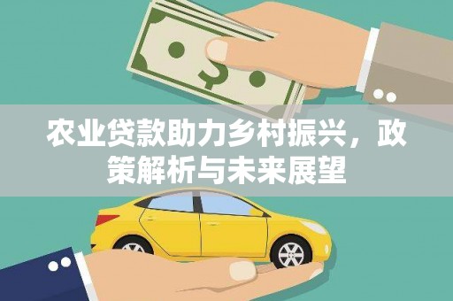 康保农业贷款助力乡村振兴，政策解析与未来展望