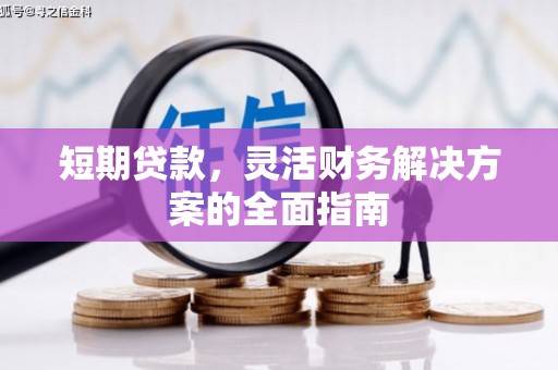 康保短期贷款，灵活财务解决方案的全面指南