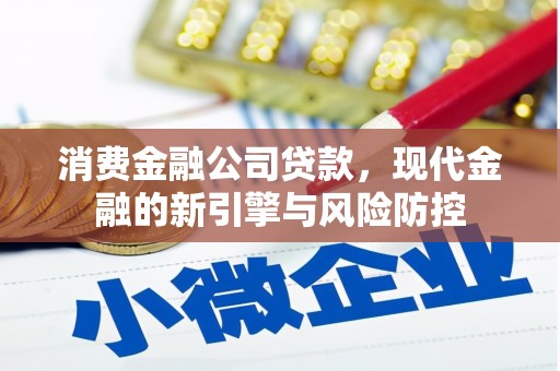 康保消费金融公司贷款，现代金融的新引擎与风险防控