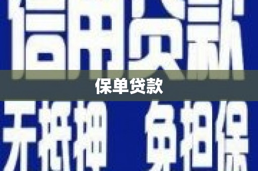 康保保单贷款
