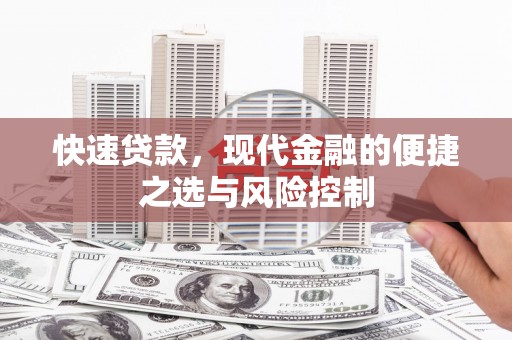 康保快速贷款，现代金融的便捷之选与风险控制