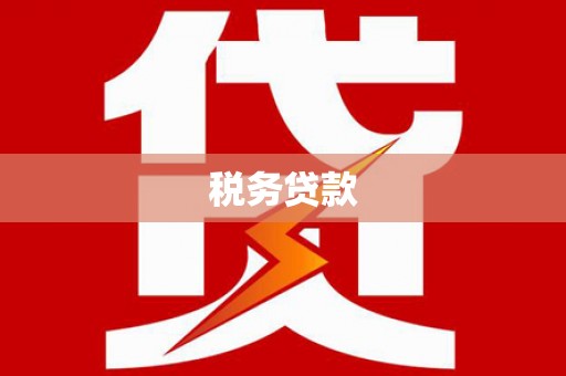 康保税务贷款