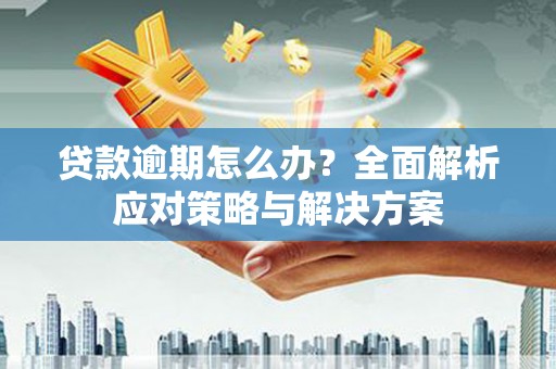 康保贷款逾期怎么办？全面解析应对策略与解决方案