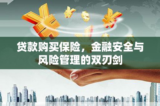 康保贷款购买保险，金融安全与风险管理的双刃剑