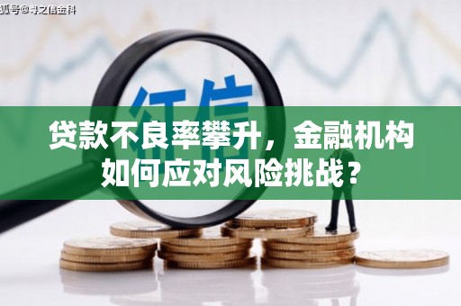 康保贷款不良率攀升，金融机构如何应对风险挑战？