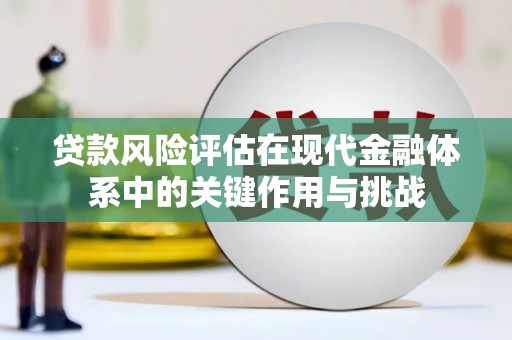 康保贷款风险评估在现代金融体系中的关键作用与挑战