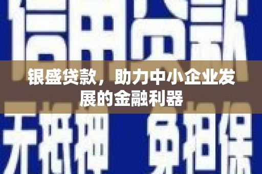 康保银盛贷款，助力中小企业发展的金融利器