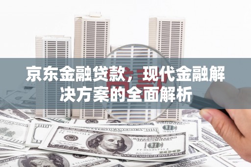 康保京东金融贷款，现代金融解决方案的全面解析