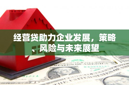 康保经营贷助力企业发展，策略、风险与未来展望