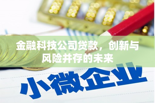 康保金融科技公司贷款，创新与风险并存的未来