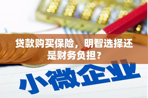 康保贷款购买保险，明智选择还是财务负担？